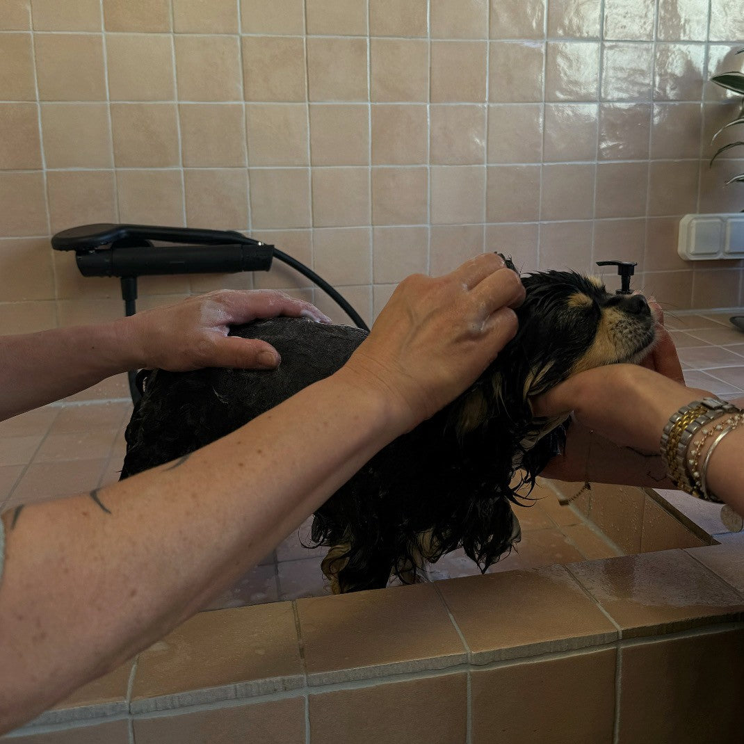 Dog Wash K-NIN